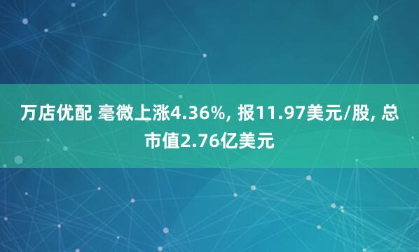 万店优配 毫微上涨4.36%, 报11.97美元/股, 总市值2.76亿美元