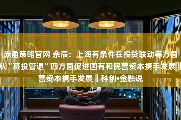 赤盈策略官网 余辰：上海有条件在投贷联动等方面做出新尝试  从“募投管退”四方面促进国有和民营资本携手发展‖科创•金融说