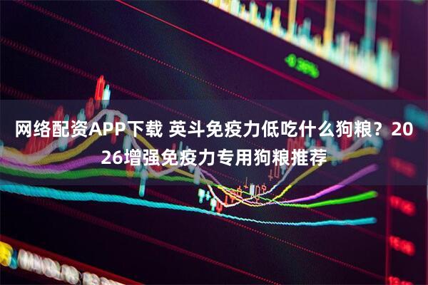 网络配资APP下载 英斗免疫力低吃什么狗粮？2026增强免疫力专用狗粮推荐