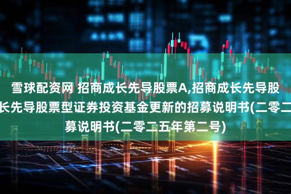雪球配资网 招商成长先导股票A,招商成长先导股票C: 招商成长先导股票型证券投资基金更新的招募说明书(二零二五年第二号)